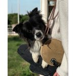 WalkJoy Round - Kutyasétáltatós táska - Kivehető jutalomfalat tartó rekesszel