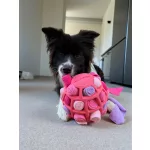 SniffJoy - Szimatjáték - Rózsaszín