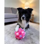 SniffJoy - Szimatjáték - Rózsaszín