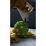SniffJoy - Szimatjáték - Világoszöld