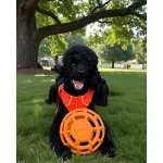 JoyBall - Többfunkciós labda - Sárga