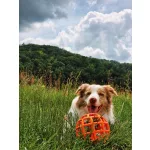 JoyBall - Többfunkciós labda - Sárga