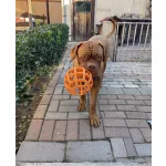 JoyBall - Többfunkciós labda - Sárga