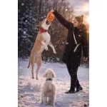 JoyBall - Többfunkciós labda - Sárga