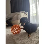 JoyBall - Többfunkciós labda - Sárga