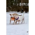 JoyBall - Többfunkciós labda - Sárga