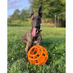 JoyBall - Többfunkciós labda - Sárga