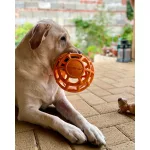 JoyBall - Többfunkciós labda - Sárga