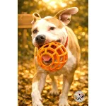 JoyBall - Többfunkciós labda - Sárga