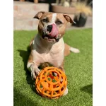 JoyBall - Többfunkciós labda - Sárga