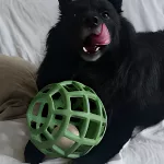 JoyBall - Többfunkciós labda - Világoszöld