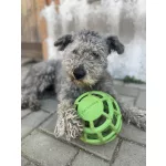 JoyBall - Többfunkciós labda - Világoszöld