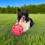 JoyBall - Többfunkciós labda - Rózsaszín