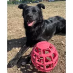 JoyBall - Többfunkciós labda - Rózsaszín