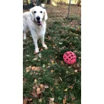 JoyBall - Többfunkciós labda - Rózsaszín