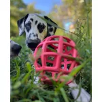 JoyBall - Többfunkciós labda - Rózsaszín