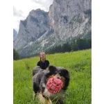 JoyBall - Többfunkciós labda - Rózsaszín