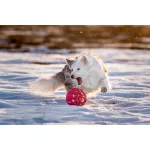 JoyBall - Többfunkciós labda - Rózsaszín