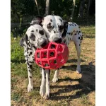 JoyBall - Többfunkciós labda - Rózsaszín