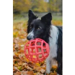 JoyBall - Többfunkciós labda - Rózsaszín