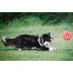 JoyBall - Többfunkciós labda - Rózsaszín