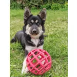 JoyBall - Többfunkciós labda - Rózsaszín