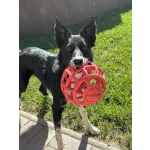 JoyBall - Többfunkciós labda - Rózsaszín