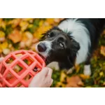 JoyBall - Többfunkciós labda - Rózsaszín