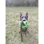 Univerzális heveder - Zöld