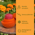IceJoy - Interaktív labda és fagyikészítő tálca szett - Narancs Márvány
