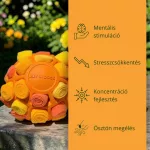 SniffJoy - Szimatjáték - Narancs