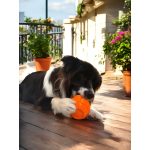 IceJoy - Interaktív labda - Narancssárga