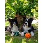 IceJoy - Interaktív labda - Narancssárga